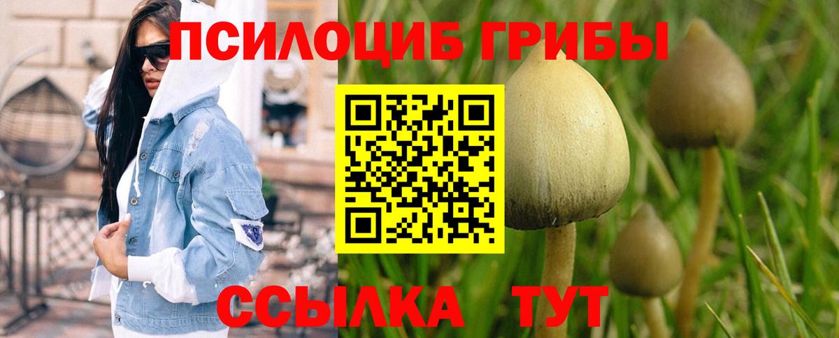 Псилоцибиновые грибы мухоморы  Вход с VPN  Красноярск  Галлюциногенные грибы Psilocybine cubensis 